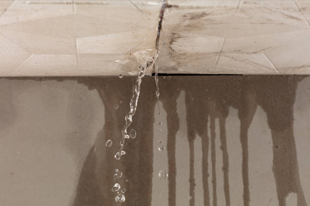 Professional Sewage Cleanup technician working in Linden, AZ